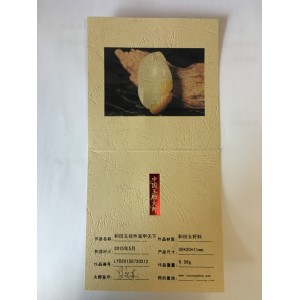 和田白玉籽料挂件富甲天下9.56g